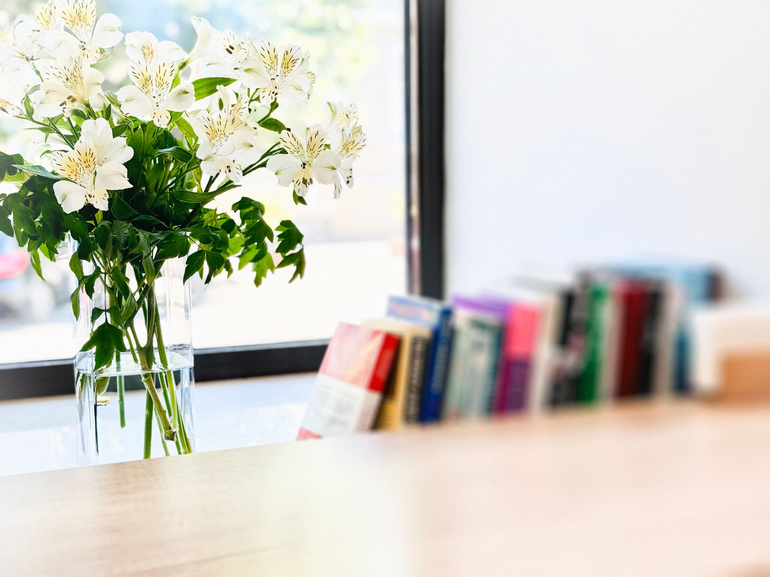Books beside a window in a quiet editorial setting